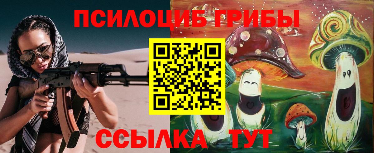 где можно купить   Псилоцибиновые грибы мицелий  Вход с VPN  Топки  Псилоцибиновые грибы Psilocybe 